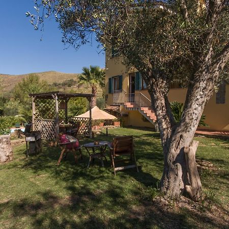 Villa Tresino Appartamenti Castellabate Exterior photo